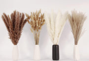 100 PCS Pampas Grass Contains Bunny Tails Dried Flowers