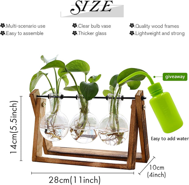 Plant Terrarium with Wooden Stand-3 Bulb Vase